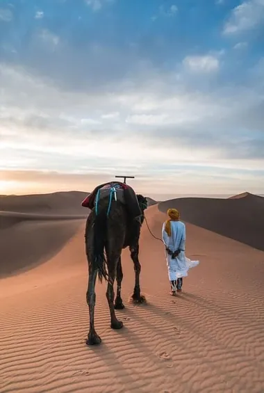 Balade à dos de chameau dans les dunes du Maroc