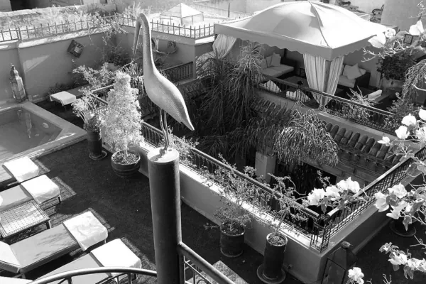 Cigogne, emblème du Riad Terra Bahia, au-dessus du patio